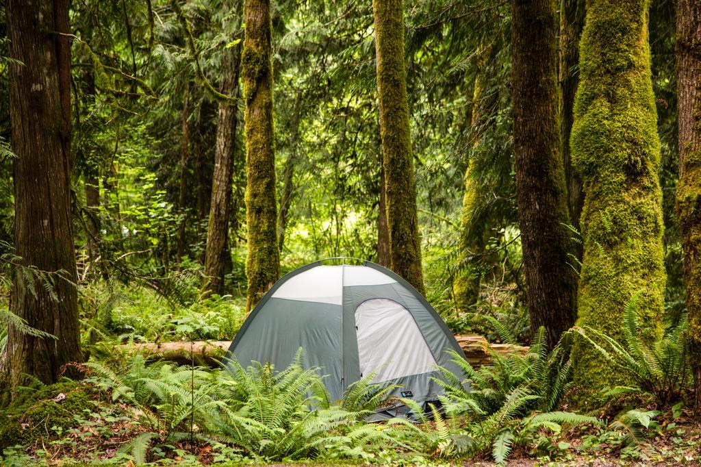 Mount Hood Village Deluxe Cabin 7 Welches Eksteriør bilde