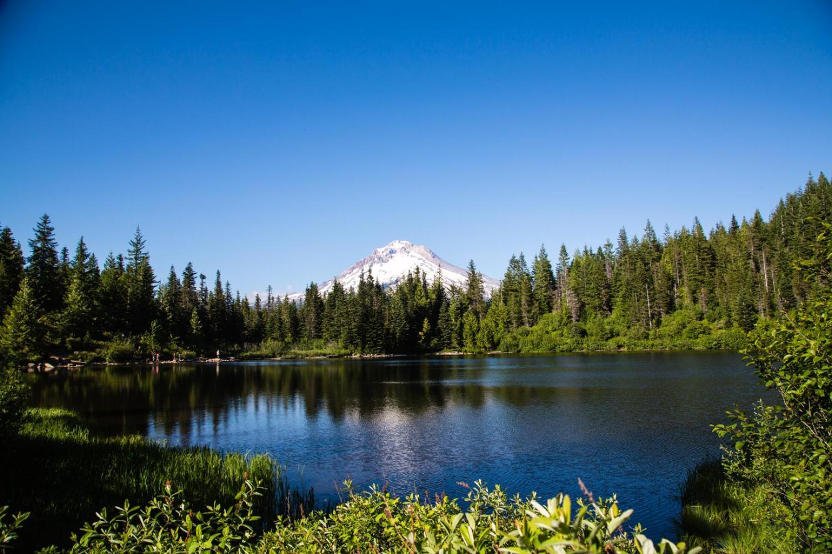 Mount Hood Village Deluxe Cabin 7 Welches Eksteriør bilde